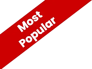 Most Popular Tag